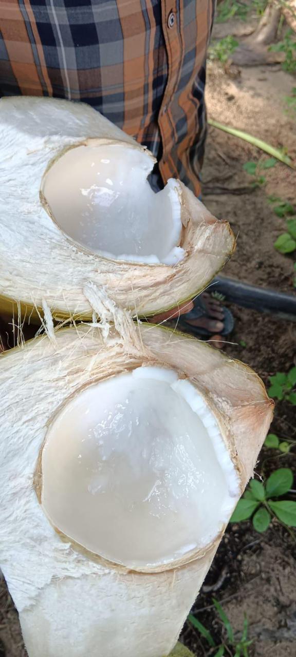 WhatsApp Image 2025-06-03 at 7.43.12 PM (5).jpeg